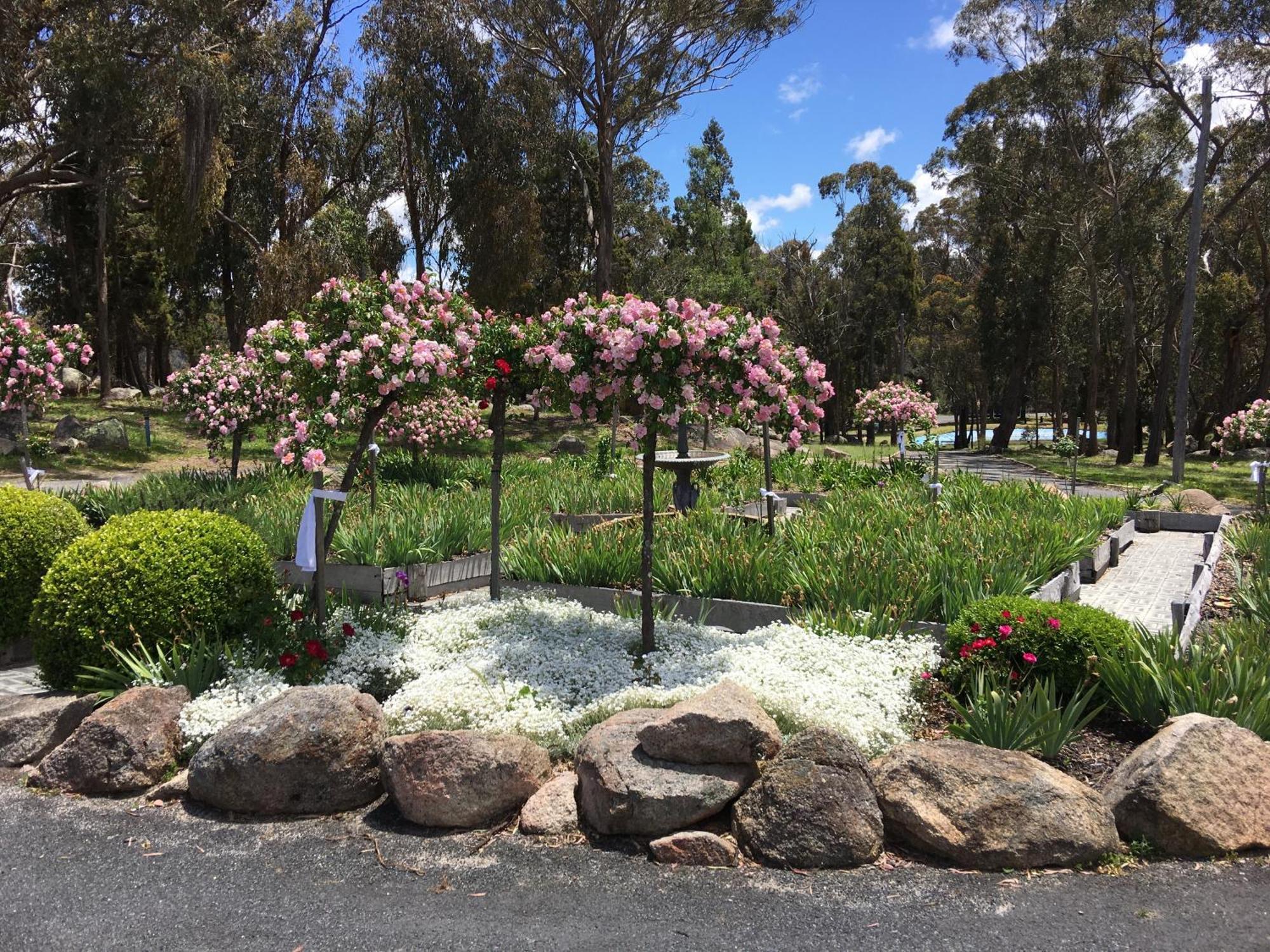 Girraween Country Inn Ballandean Bagian luar foto